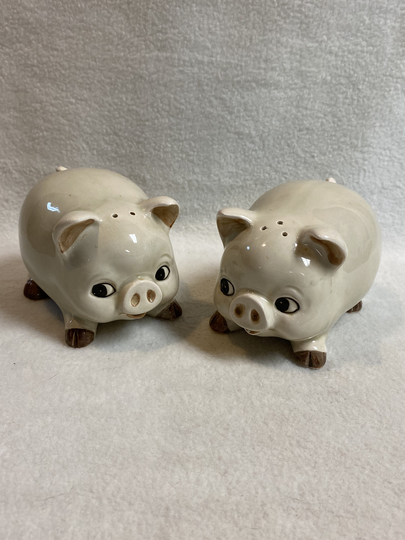 Salt & Pepper - Japan Large Pigs | #sp145