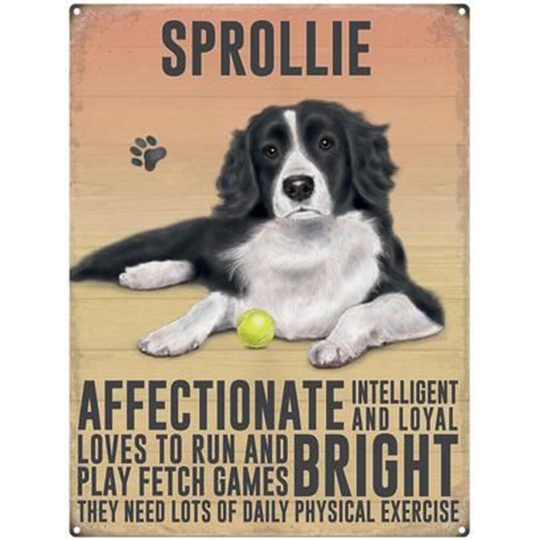 Fridge Magnet Dogs - Sprollie