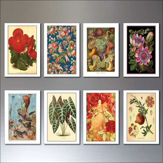 Chintzy Victorian Botanical Illustrations Decorative Fridge Magnets