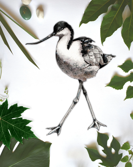 Coastal Bird Decal, Avocet Stickers, Decal Removable Vinyl Wall Sticker, Decor