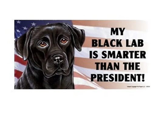 My Black Lab Is Smarter Than The President Great Magnet Car Fridge Any Metal Surface Waterproof Uv Resistant Made in Usa 4"x8