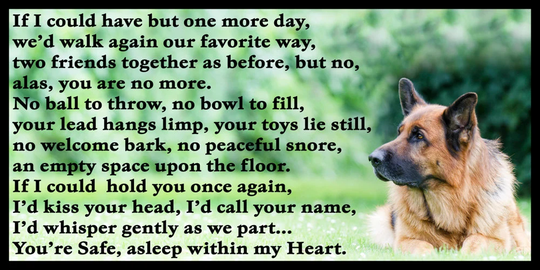 German Shepherd Dog Memorial Fridge Magnet Pet Loss Bereavement Rainbow Bridge Gift