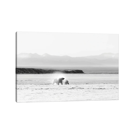 Shake by Eiji Itoyama - Wrapped Canvas Photograph