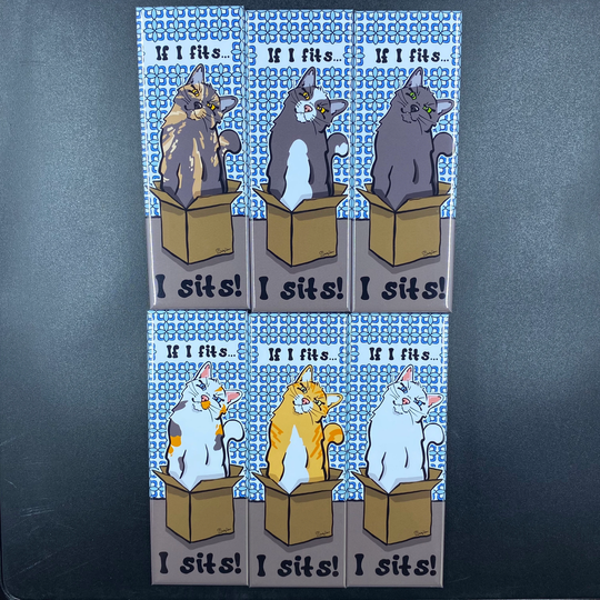 Funny Cat in A Box Magnet, Retro Kitchen Decor, Pet Portrait Gifts, High Quality Handmade Magnet 1.5x4.5