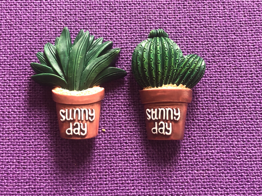 Cactus Magnets | Cacti Plant Magnetic Board Office Study Fridge