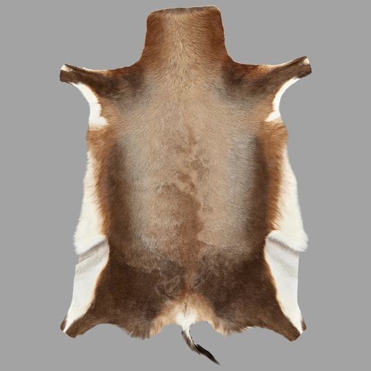 Garvey Brown Rug