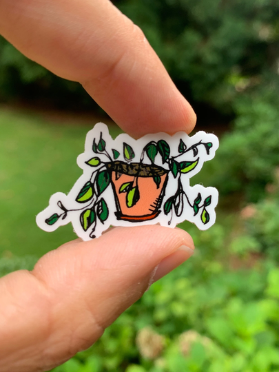 Pothos {Magnet}