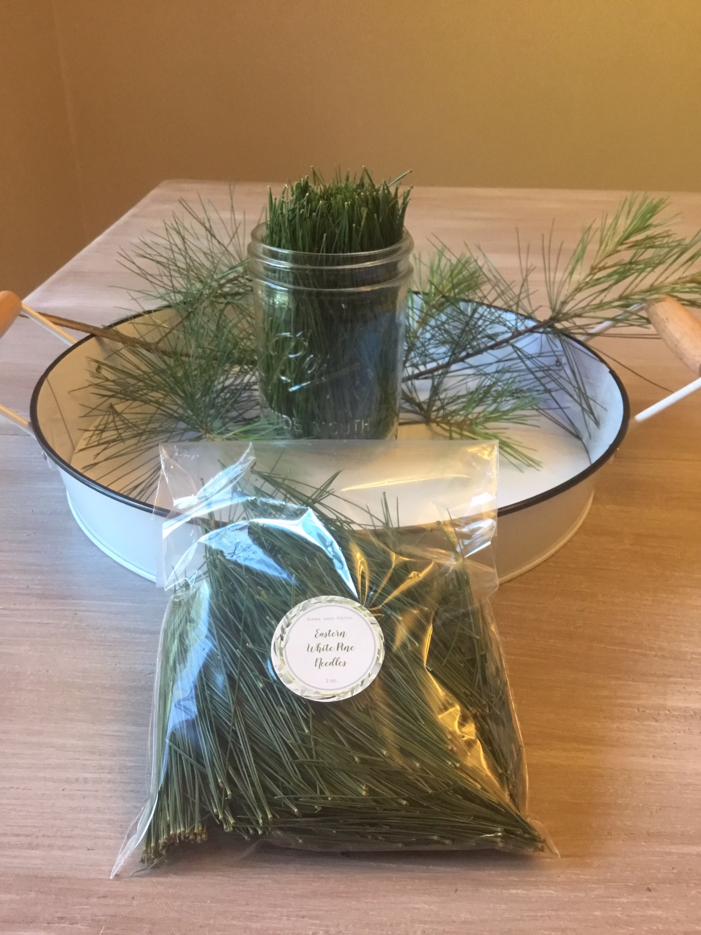 Fresh White Pine Needles For Tea - Freshly Picked