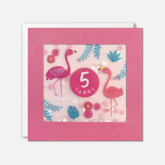 Age 5 Flamingos Birthday Card With Paper Confetti - Shakies By James Ellis