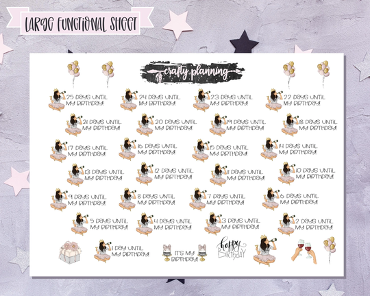 Birthday Countdown Planner Stickers, Gift For Her