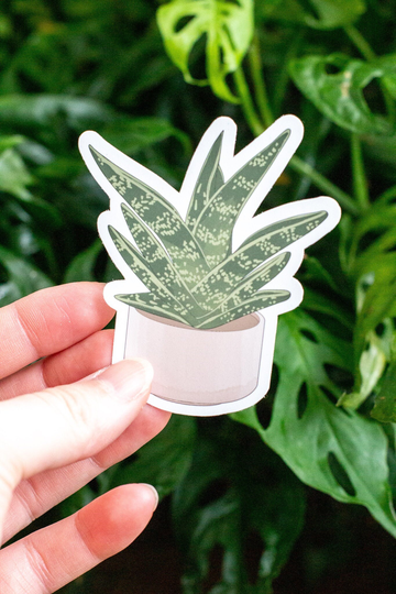 Succulent Houseplant Sticker, Aloe Haworthia Plant Art Accessory Laptop & Nalgene Vinyl Decal, Room Aesthetic Decor