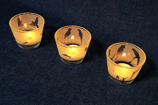 Parrot Engraved Glass Tea Light Holder Set. - Parakeet Cockatoo Macaw