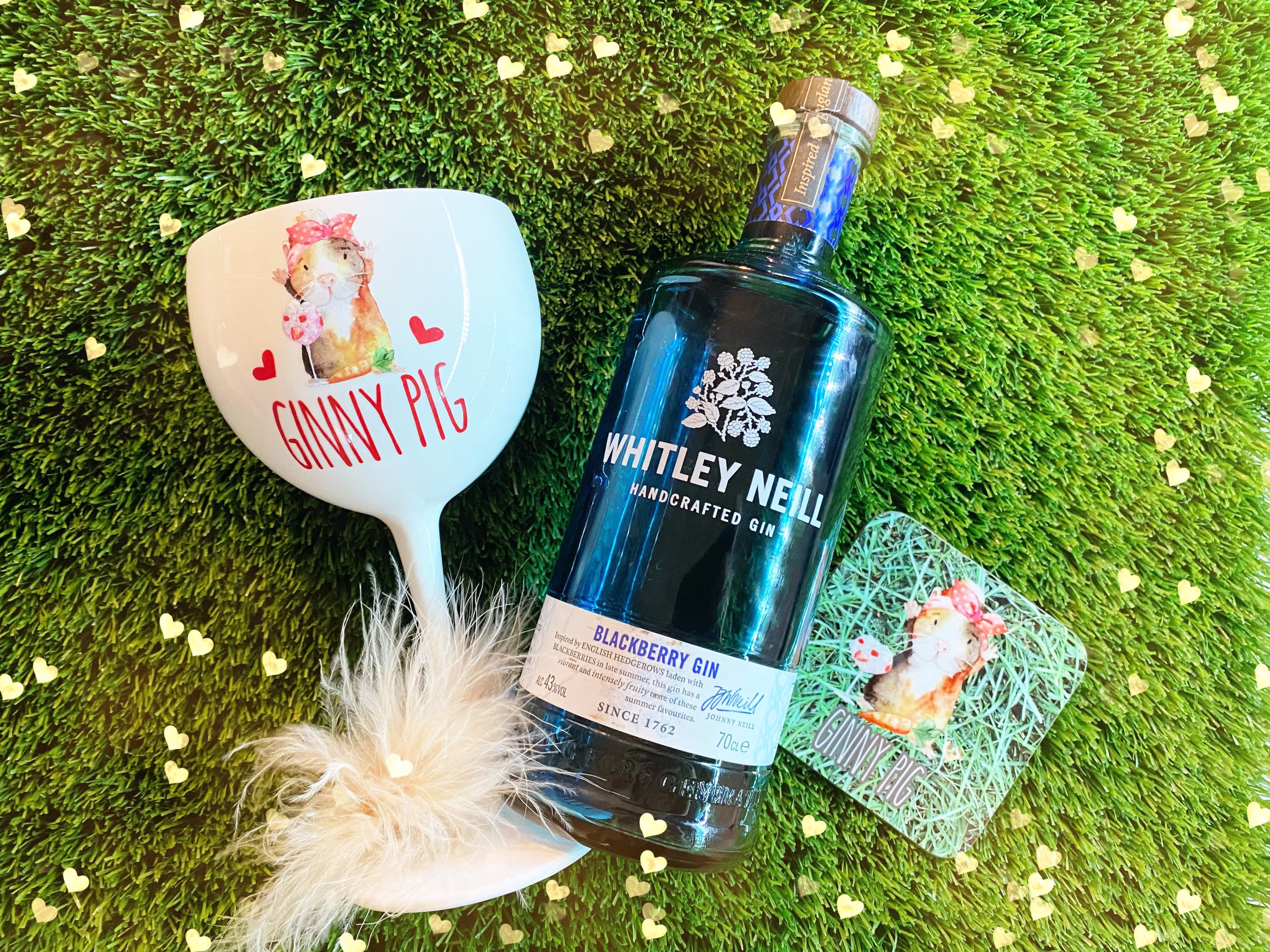 Personalised Ginny Pig Gin Glass & Coaster Gift Set, Guinea Glass, Gift, Pig Gift