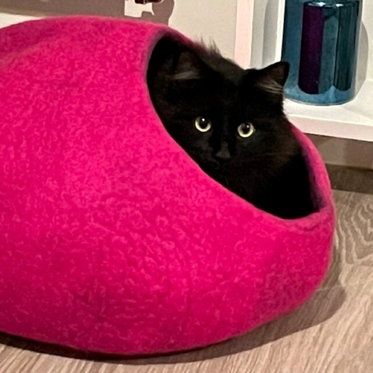 Thick Soft Cat Den, Cave, House, Bed Cosy Felt - 43cm Felted New Zealand Lambs Sheep Wool. Pink Azo-Free Dyes