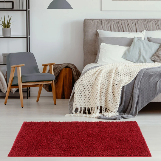 Earma Soft and Elegant Shaggy Red Rug