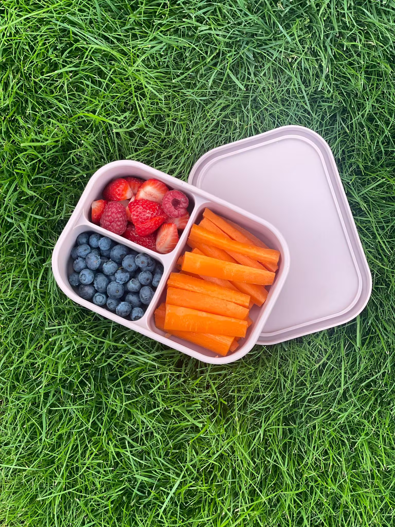 Bento Box | Lunch Silicone Food Storage Childrens Or Adults 4 Colour Ways Dishwasher & Microwave Safe