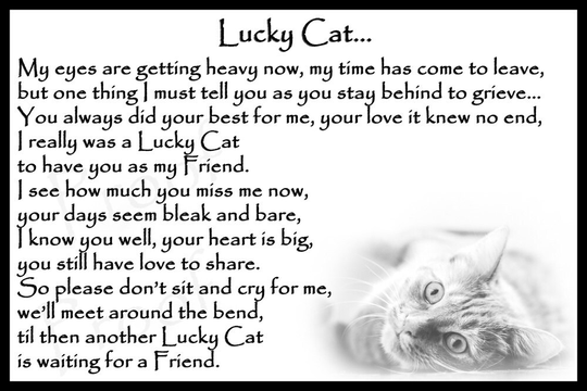 Beautiful Cat Memorial Pet Loss Bereavement Rainbow Bridge Fridge Magnet Plaque Gift