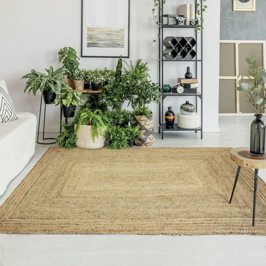 Doctor Braided Brown Rug