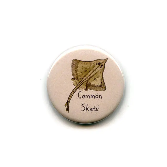 Common Skate Fish Magnet, 38mm Round Button Sea Fishing Fishermans Fridge Magnet