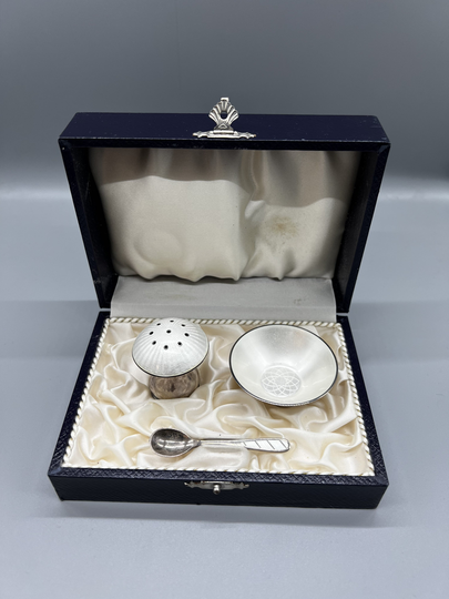 Denmark Egon Lauridsen Solid Silver & Guilloche Enamel Salt & Pepper Set