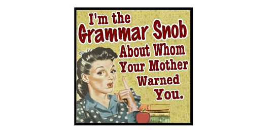 Funny Teacher Gifts Grammar Snob Retro Refrigerator Magnet
