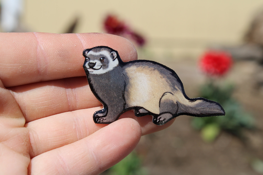 Ferret Magnet #2 Gift For Ferret Lovers, Vet Techs, Veterinarian, Zookeepers, Loss Memorial Cute Animal Magnets Locker Or Fridge