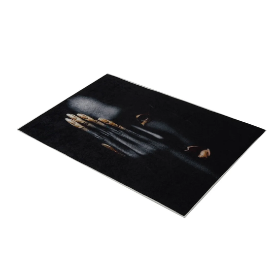 Houa Flatweave Black/White Rug