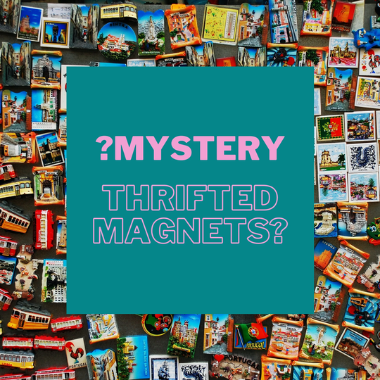 Mystery Magnets | Bundle Vintage Grab Bag Surprise Random Variety Destination Travel Thrift 80S 90S 00S
