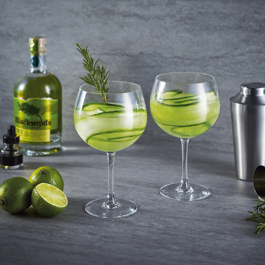 Ladies Night 700ml Gin Ballon Glass