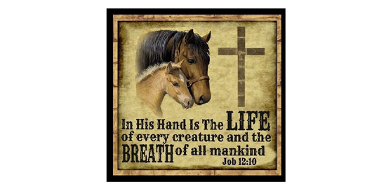 Christian Gifts His Hand Is The Life Of Every Creature Breath Of All Mankind Fridge Magnet Country Horse Decor