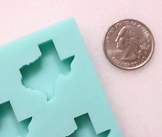 Shiny 1" Texas Mold That Is 1/4