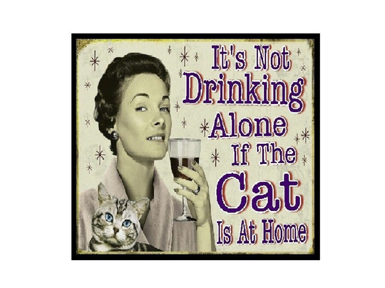 Funny Wine Gifts Drinking Alone If The Cat Is Home Refrigerator Magnet