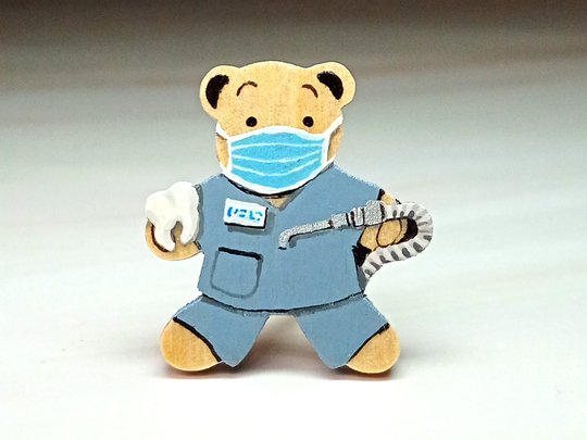 Dental Nurse Badge, Handmade Dentist Bear Pin, Graduation Gift, Thank You New Job Magnet, Little Teddy Brooch