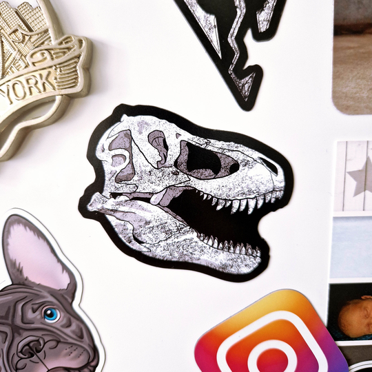 T-Rex Skull Fridge Magnet Dinosaur Fossil Bones