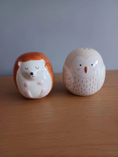 Salt & Pepper Shaker Owl Hedgehog Cruet Set Ceramic Of 2 From Sass Belle Free UK Postage