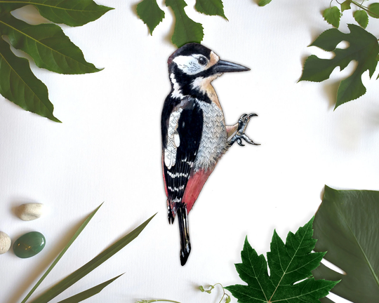 Woodpecker Bird Wall Sticker, Woodland Stickers, Vinyl Decal, Decals, British Birds Decal