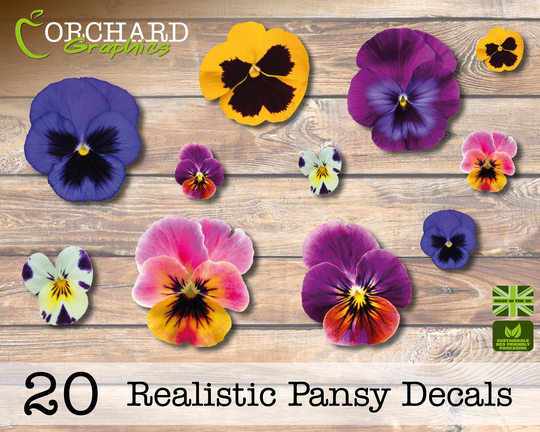 20 Pansy Pansies Flower Car Stickers | Vinyl Decals Graphics Bedroom Wall Art Photo Realistic Scrapbook Craft