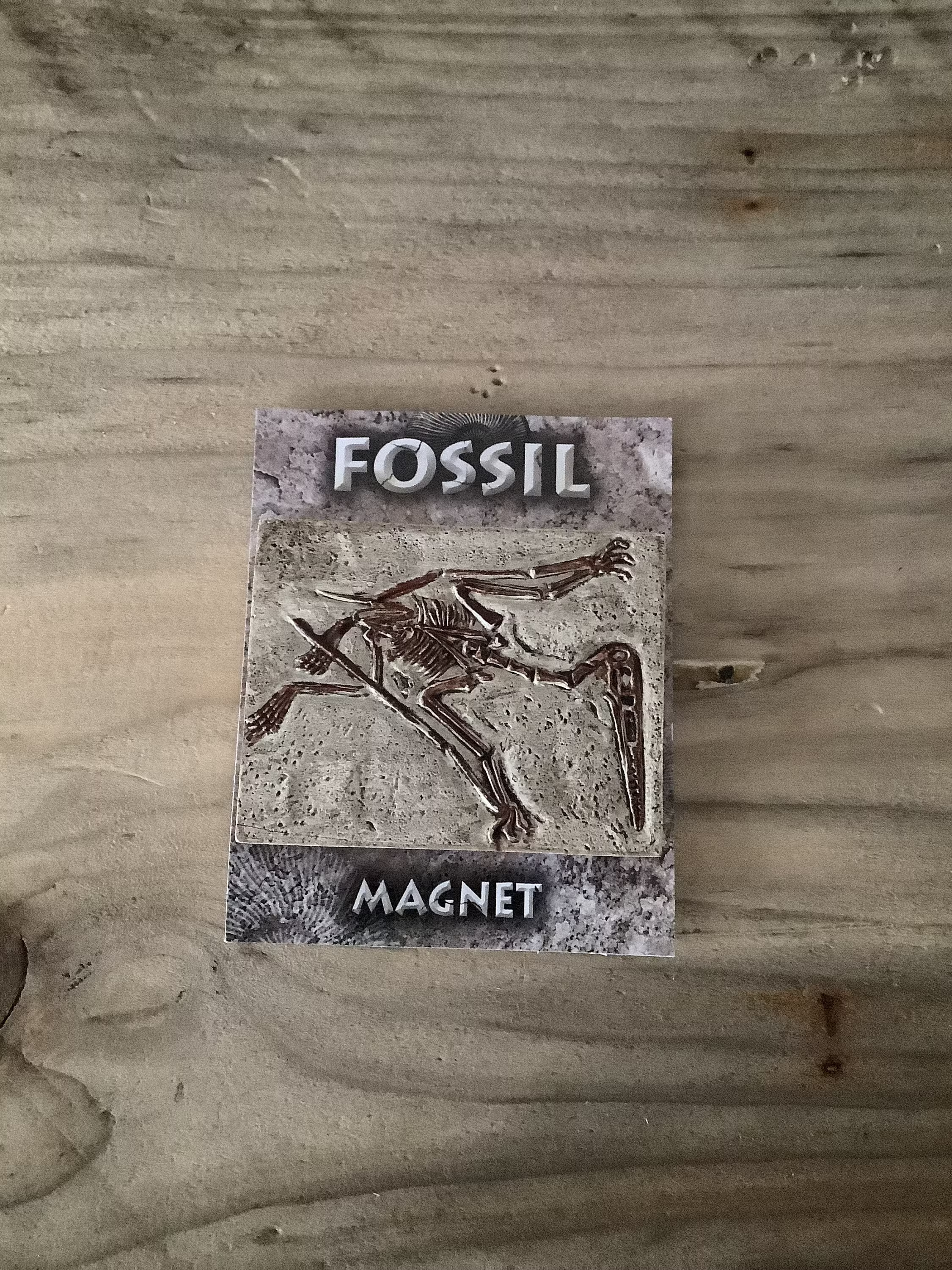 Pterosaur Fossil Prehistoric Fridge Magnet
