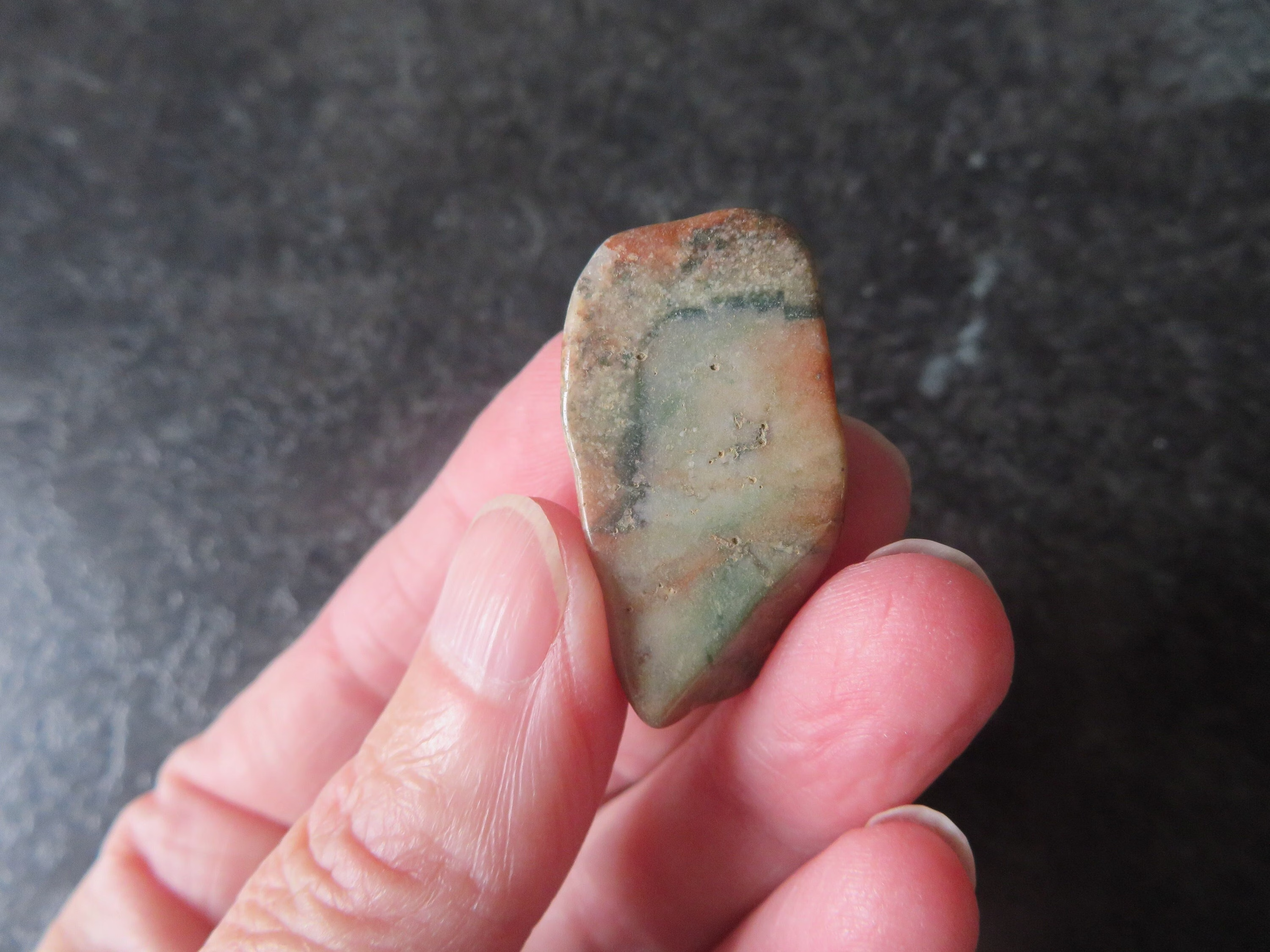 New Find Judys Jasper