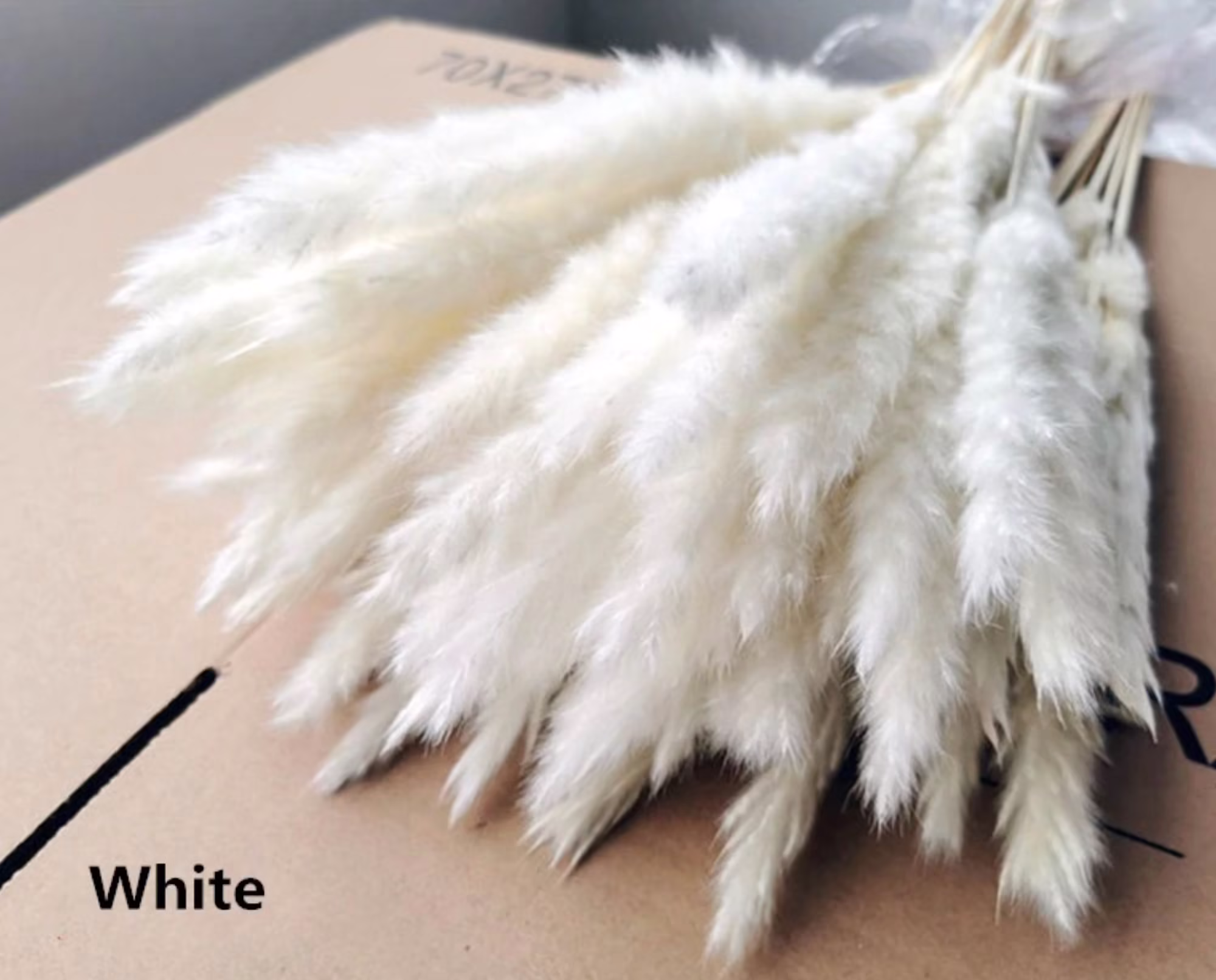 60Pcs White Pampas Grass 24