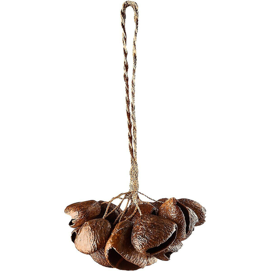 Pangi Seed Rattle