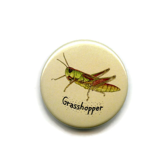Grasshopper Magnet, 38mm Round Button Invertebrate, Minibeast, Bug, Fridge Magnet