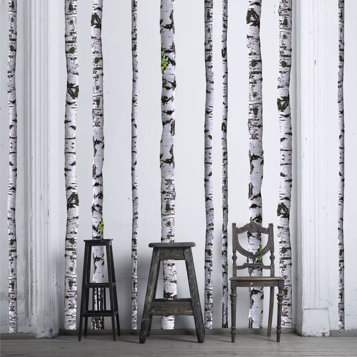 Birch Tree Wall Decals - 9 Ft Tall | Quantity Of 5