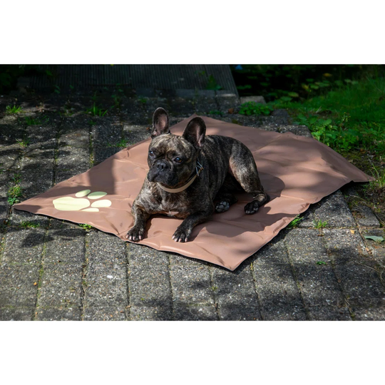 Cowen Cooling Mat n Brown