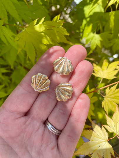 Goldleaf Clam Shell Magnets | For Fridge Or Notice Board Novelty Marble Effect Stationary, Shells, Starfish, Beach Pebbles