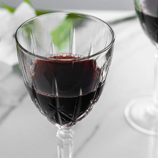 Orchestra 290ml All Purpose Wine Glass