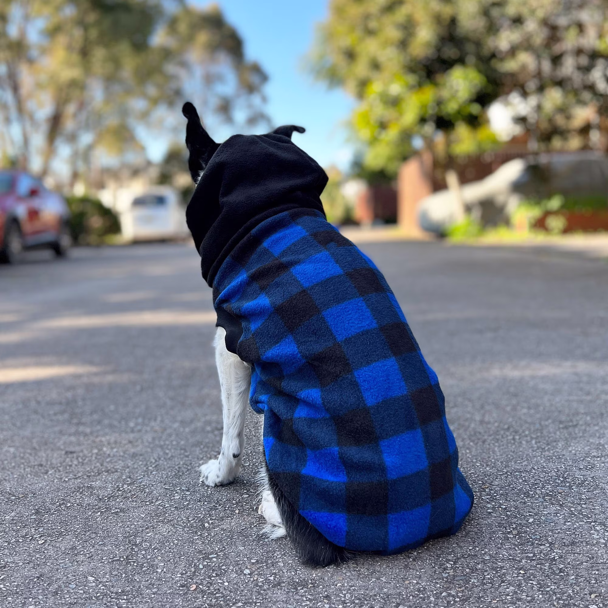 Buffalo Blue Dog Hoodie/Hoodies Polar Fleece Jacket