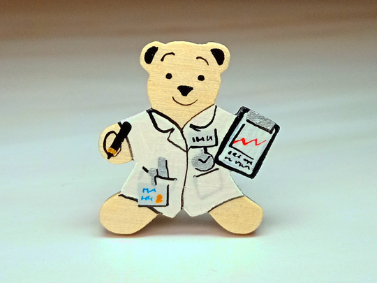 Nurse Badge, Handmade Nursing Student Bear Pin, Child Cute Magnet, Nhs Thank You Gift, New Job Nurse, Little Wooden Teddy Badge