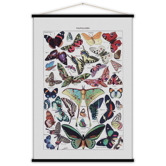 'Papillons' Graphic Art Print Poster