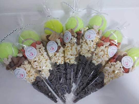 Dog Gift Cone - Treat Birthday Doggy
